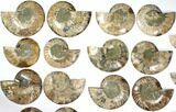Lot: to Cut/Polished Ammonite Fossil - Pairs #117044-3